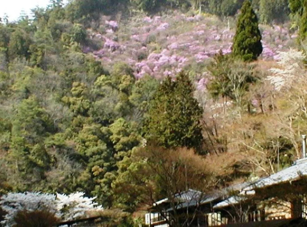*** Ryokan Takao Kanko Hotel Kyoto Japan